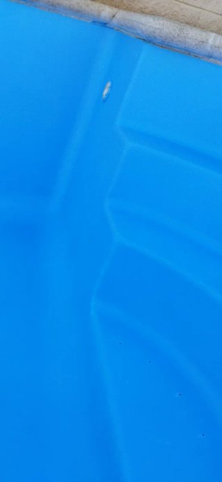 Piscina de fibra limpiar Y pintar como nueva