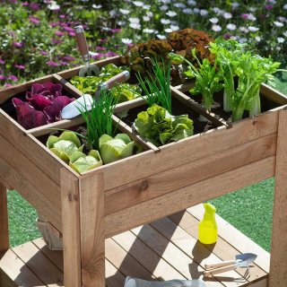 Mesa de Cultivo Germin 60 - Huerto Vertical