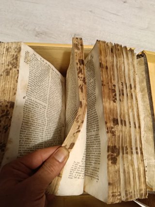 Libro de 1767