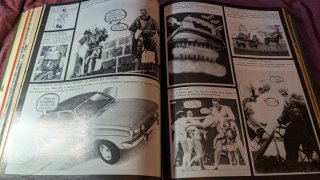 Revista mata ratos