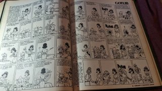 Revista mata ratos