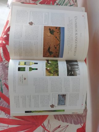 Vino. Guía Práctica (Spanish Edition)