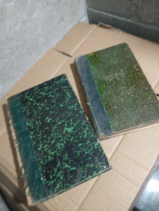 Libri antichi francesi (2 unità)