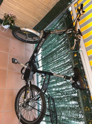 Bicicleta eléctrica Ecoguay con batería