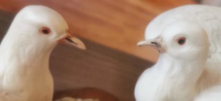 Figura de dos palomas sobre base de madera