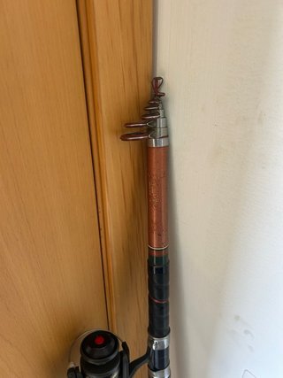 Caña de pescar carpfishing con carrete