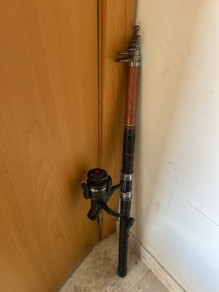 Caña de pescar carpfishing con carrete