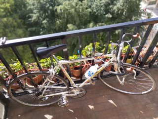 Bicicleta Torrot Clásica