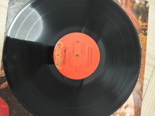 Renaissance Ashes Are Burning Vinilo