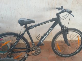 Lote de 4 Bicicletas