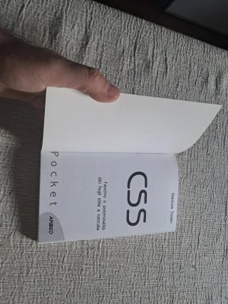 CSS. Fascino e potenzialità dei fogli stile a c...