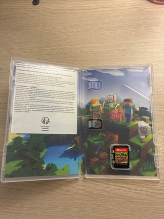 Minecraft Nintendo Switch