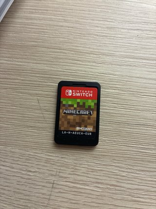 Minecraft Nintendo Switch