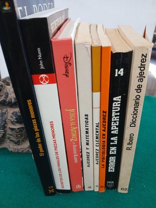 Lote Libros Profesionales de Ajedrez (Leer)