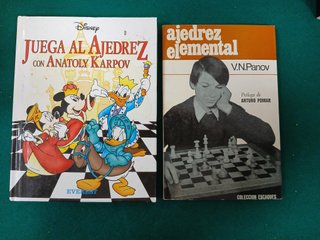 Lote Libros Profesionales de Ajedrez (Leer)