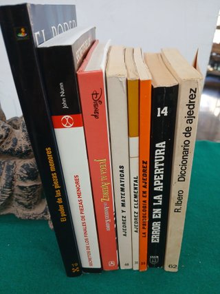 Lote Libros Profesionales de Ajedrez (Leer)