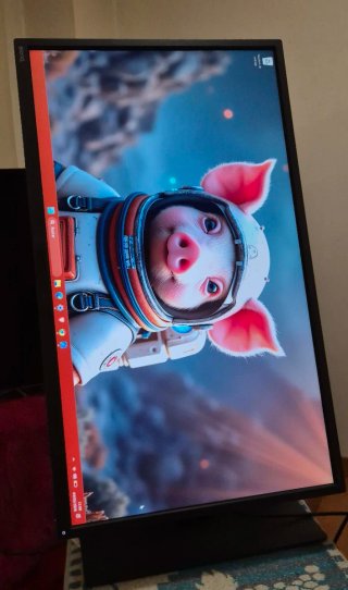 Pantalla Profesional Benq PD3200Q 32" 2K 90°
