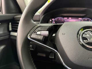 Skoda Kamiq Emotion 1.0 TSI 110CV DSG Espectacular