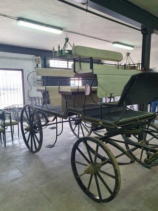 Carro Domadora Blanco