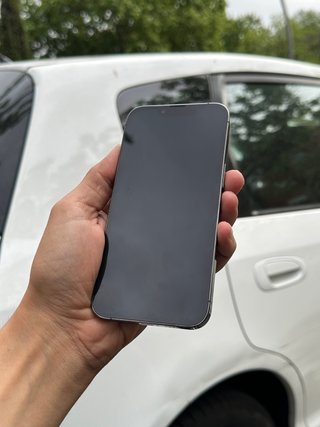 iPhone 13 Pro 256Gb
