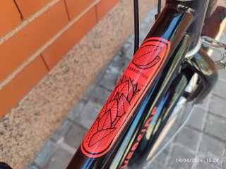 Bicicleta Niñ@ 20" Riverside Impecable