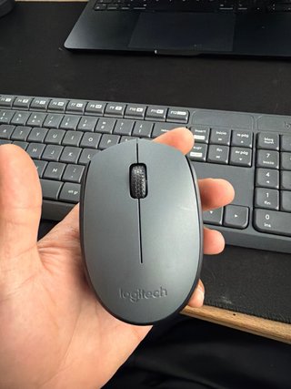 Teclado y Ratón Inalámbricos Logitech MK235 Gris