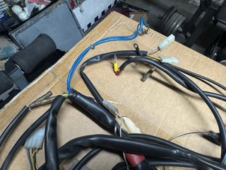Cableado Aprilia RS50 Culo Avispa