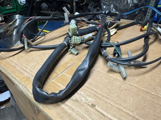 Cableado Aprilia RS50 Culo Avispa