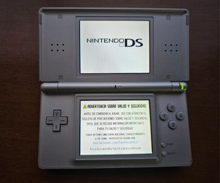Nintendo DS Lite LEER