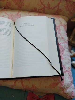 MURAKAMI, 1Q84 Libros 1 y 2