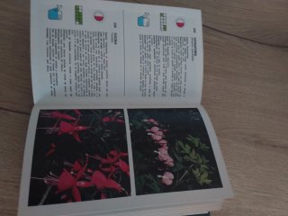 Guía de Plantas y Flores Grijalbo