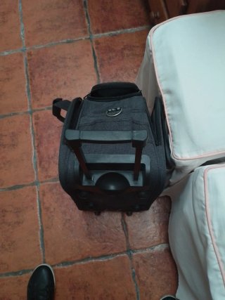 Trolley Dorlita 2 ruedas gris
