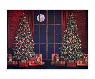 Fondo Navidad 3,05m x 2,50m