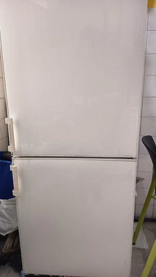 Frigorífico Bosch Duo System