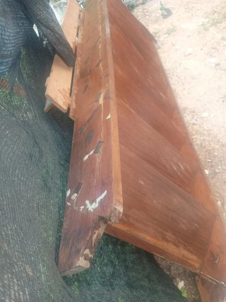 Escalera de Sapeli Maciza