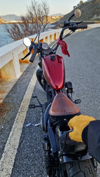 Harley Iron 883 Custom