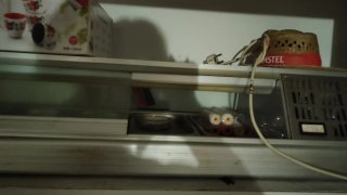 Vitrina expositora de frío