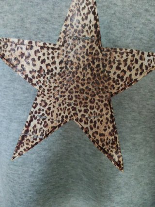 Sudadera gris con estrella