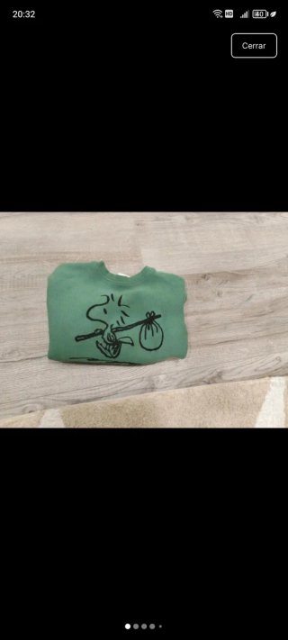 Sudadera niño Woodstock Snoopy