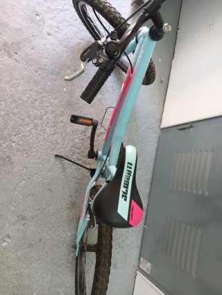 Bicicleta infantil azul y rosa