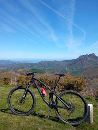 Canyon Neuron Bicicleta Montaña
