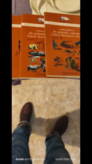 Colección 50 libros juveniles