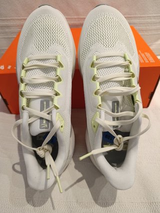 Nike Air Zoom Pegasus 41 Zapatillas
