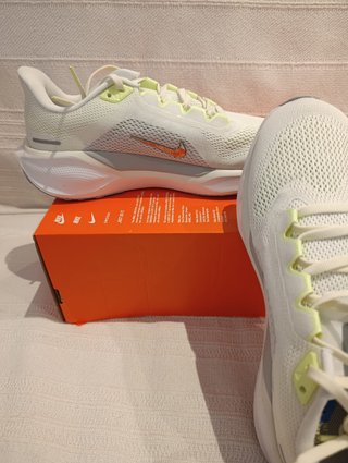 Nike Air Zoom Pegasus 41 Zapatillas