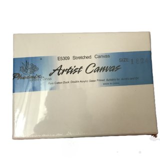 Lienzo Phoenix E5309 18x24