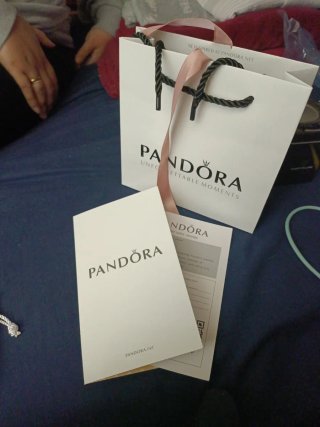 Pendientes Pandora Aro Oro y Circonitas