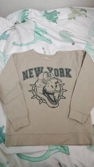 Sudadera niño T.8 dinosaurio New York
