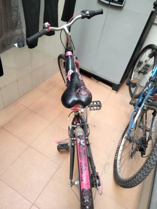 Bicicleta infantil con diseño de rosa