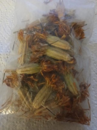 Semillas Tagetes Flores Anuales