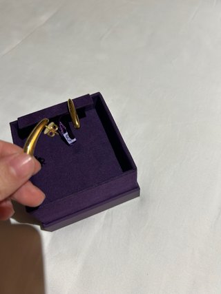 Pendientes Aristocrazy Bañados en Oro